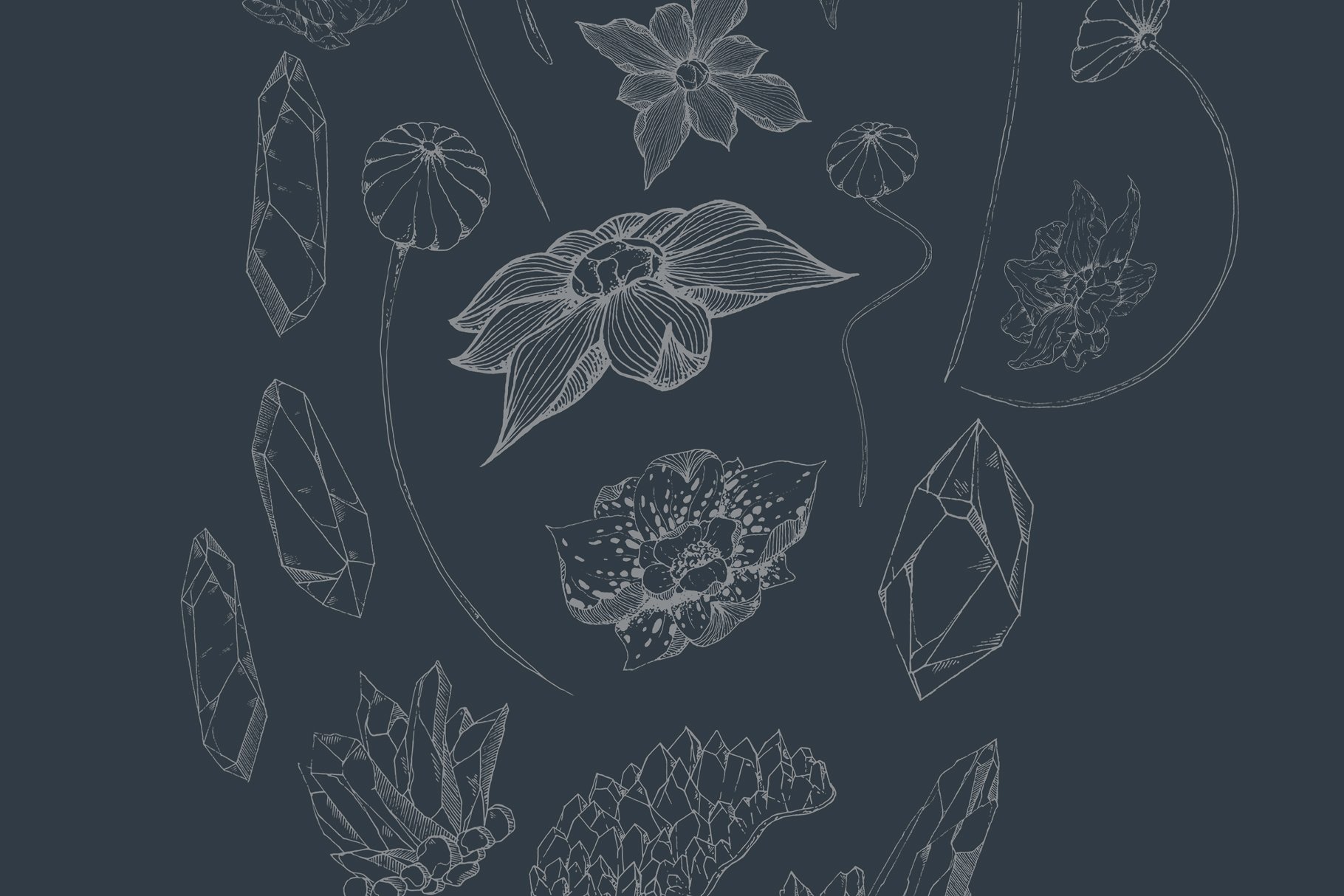 手绘线稿花卉植物设计素材Black Orchid Illus