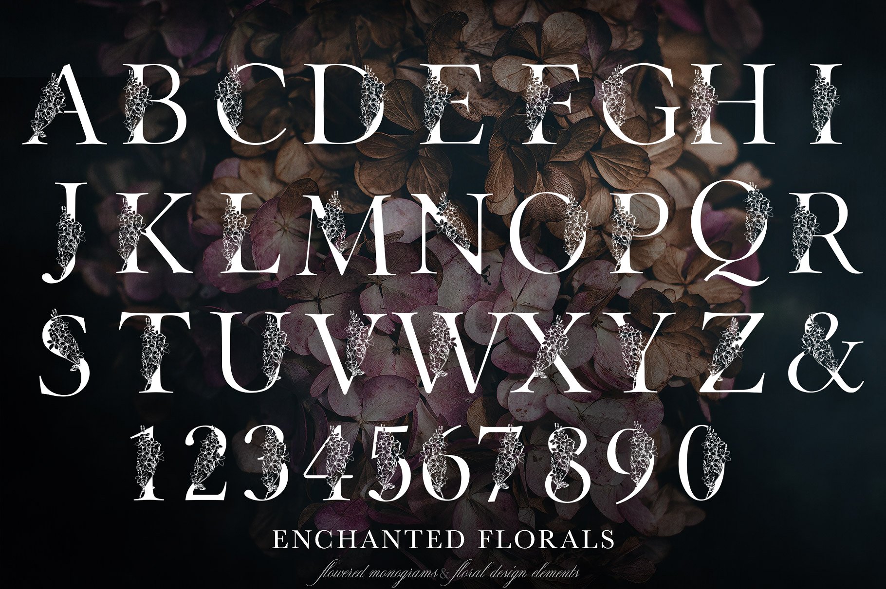 手绘花卉字母设计元素Enchanted Florals Mo