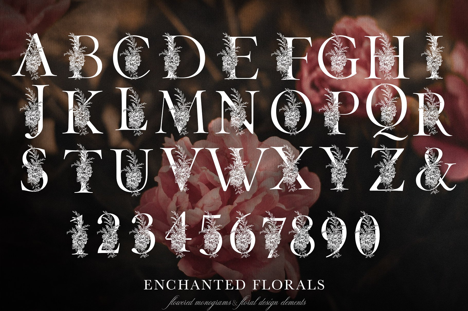 魔法手绘字母素材包Enchanted Florals Mon