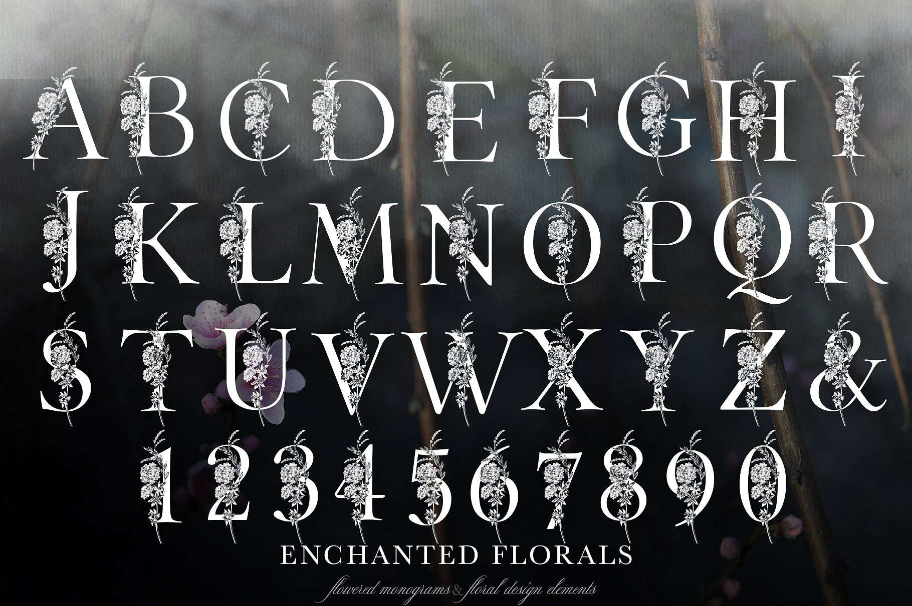 手绘花卉字母设计元素Enchanted Florals Mo