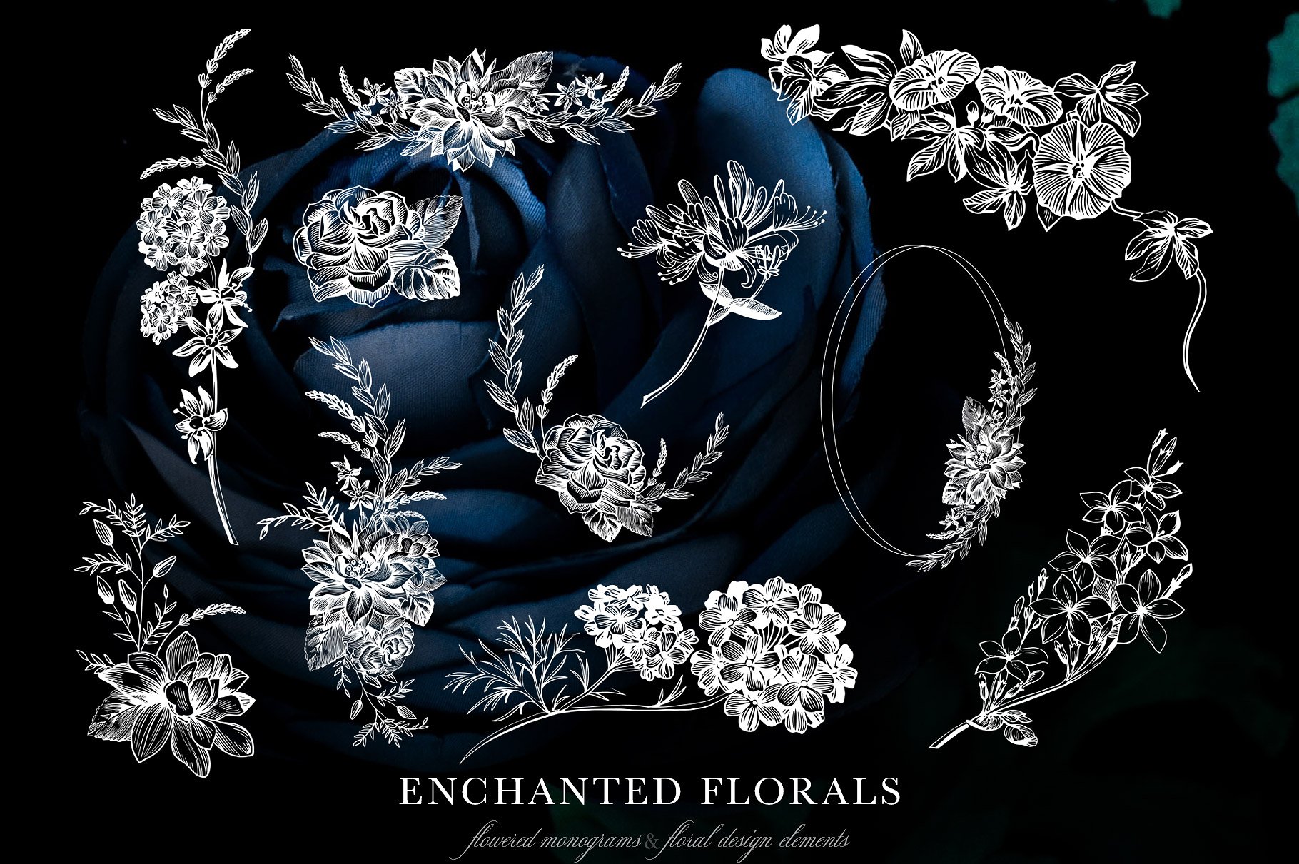 手绘花卉字母设计元素Enchanted Florals Mo