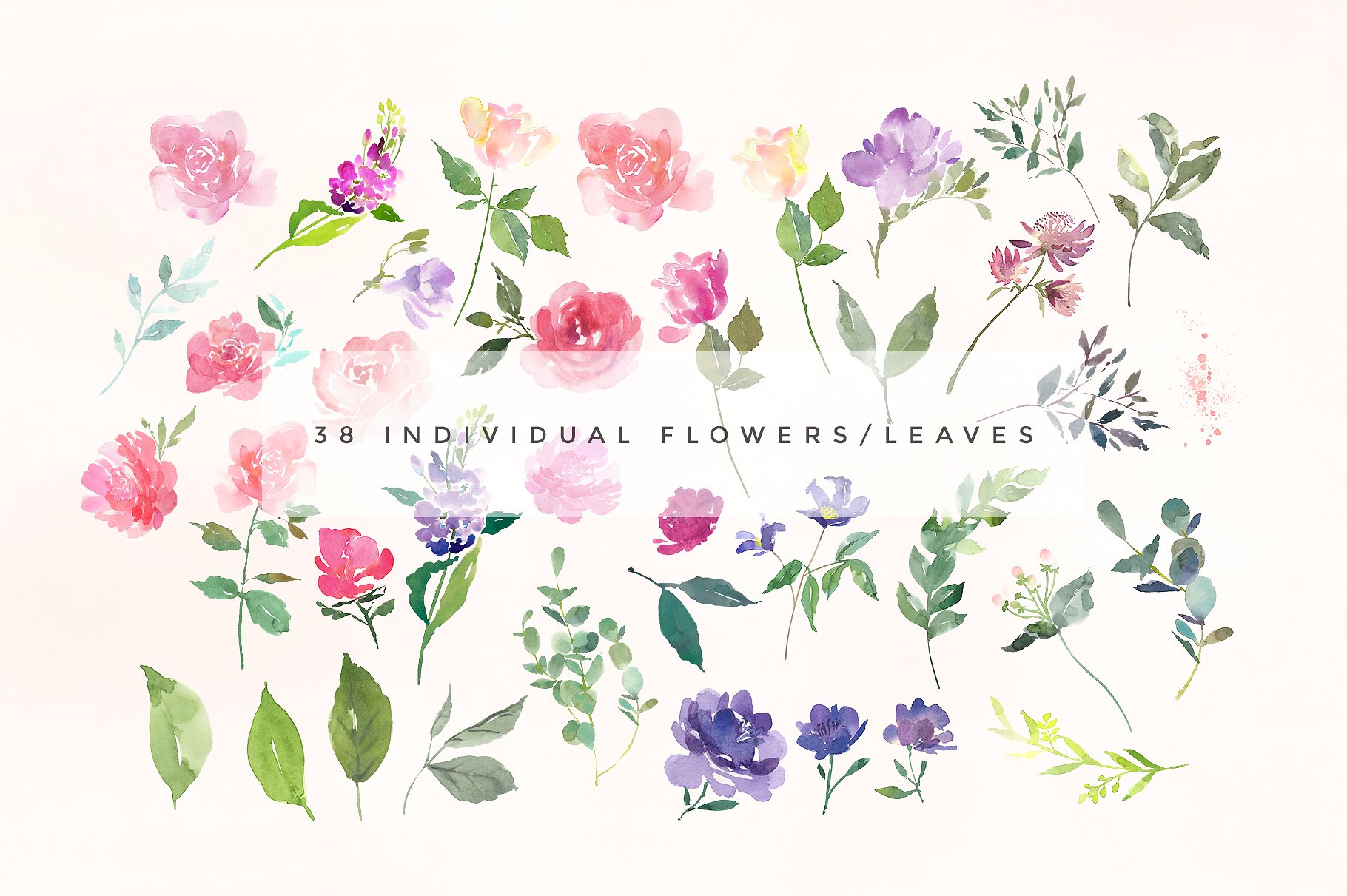 手绘水彩花卉合集素材包Elouise - Flower Cl