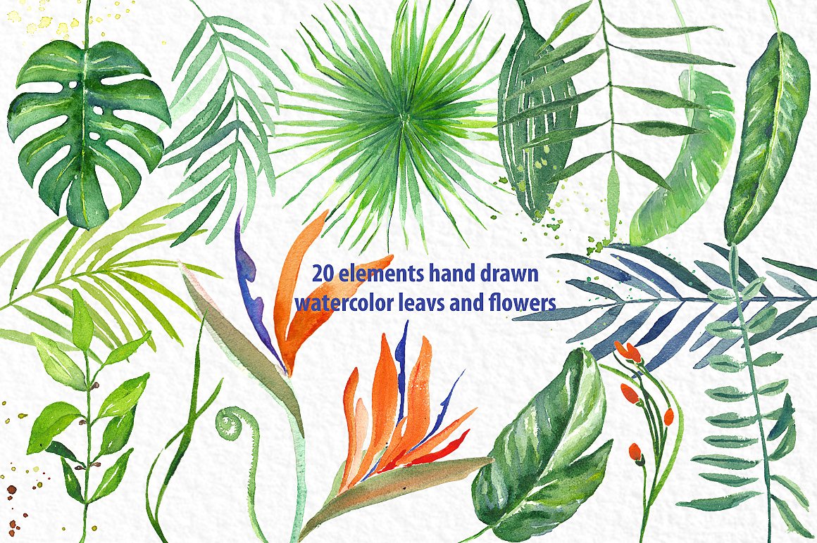 手绘热带植物设计素材Tropical leaves bran