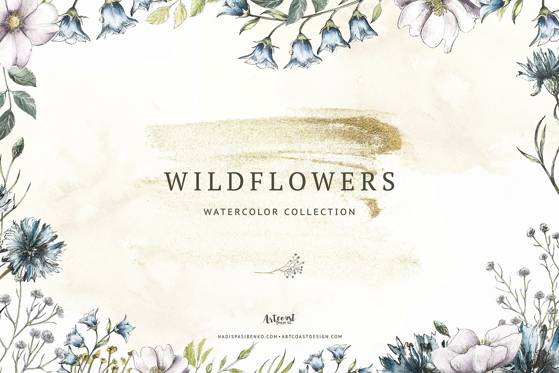 手绘水彩花卉植物设计元素Wildflowers #24362