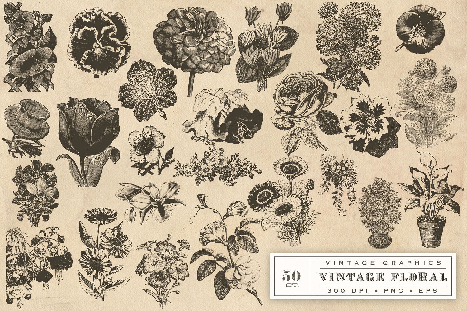 复古手绘花卉设计素材Vintage Flower Vecto