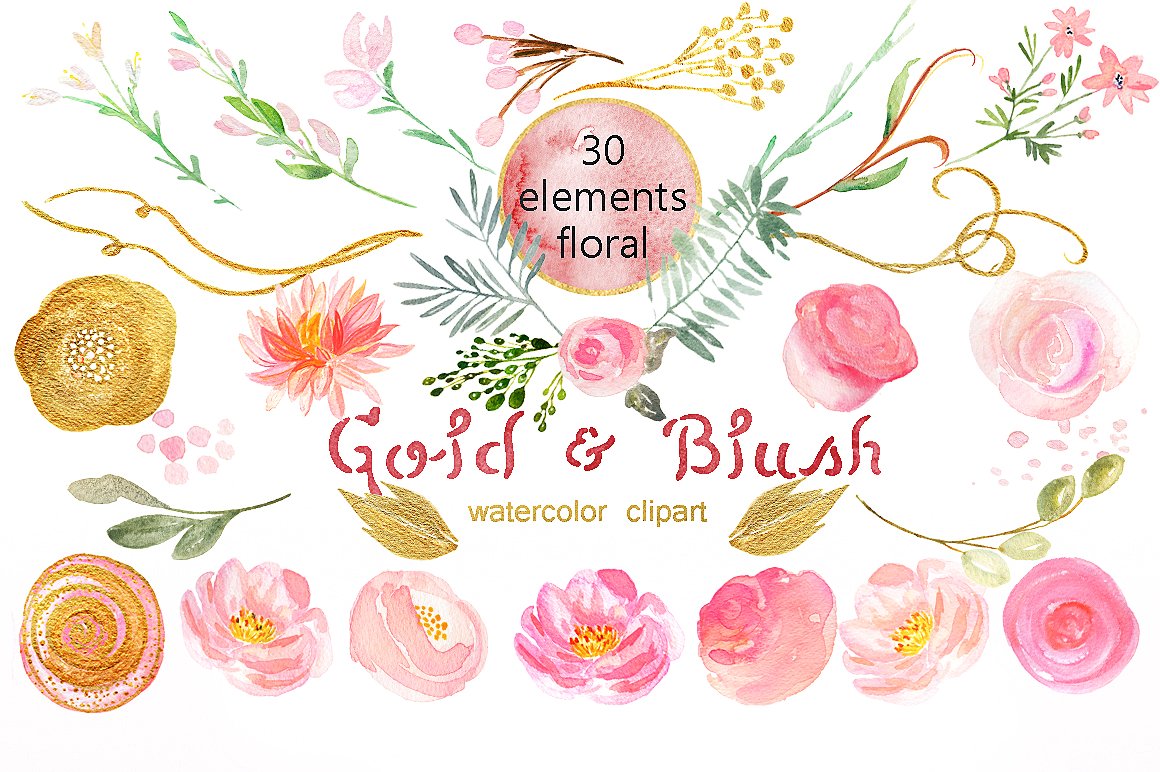 手绘水彩花卉植物设计素材Gold and blush wat