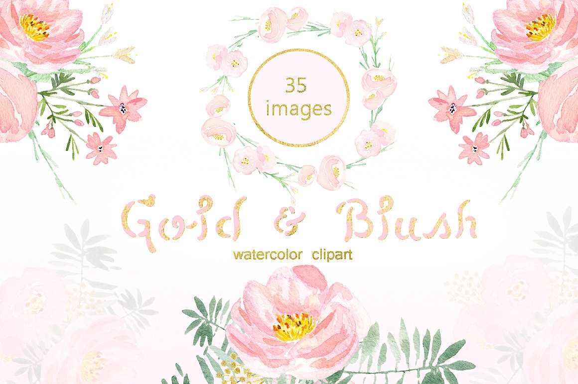 手绘水彩花卉设计素材Gold and blush water