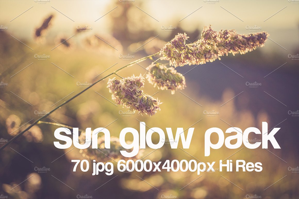 夏季户外自然照片设计素材sun glow photo pac