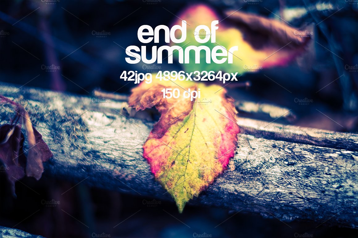 户外自然高清照片设计素材end of the summer