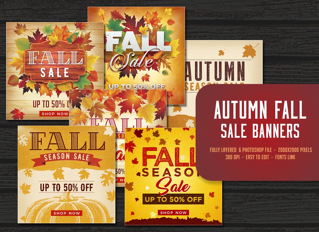 秋季宣传单设计素材Autumn Fall Sale Bann
