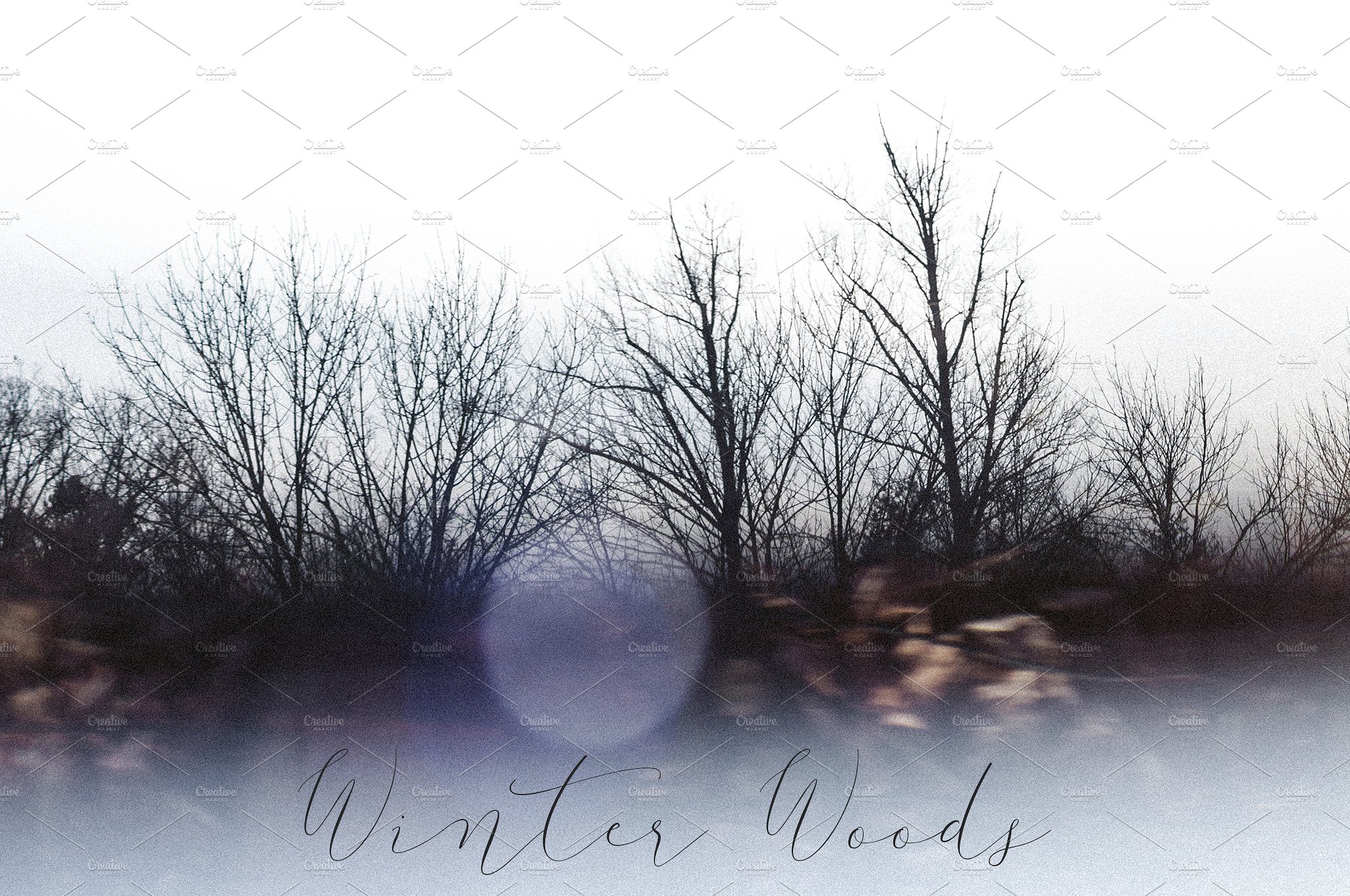 冬季森林设计素材Winter Woods