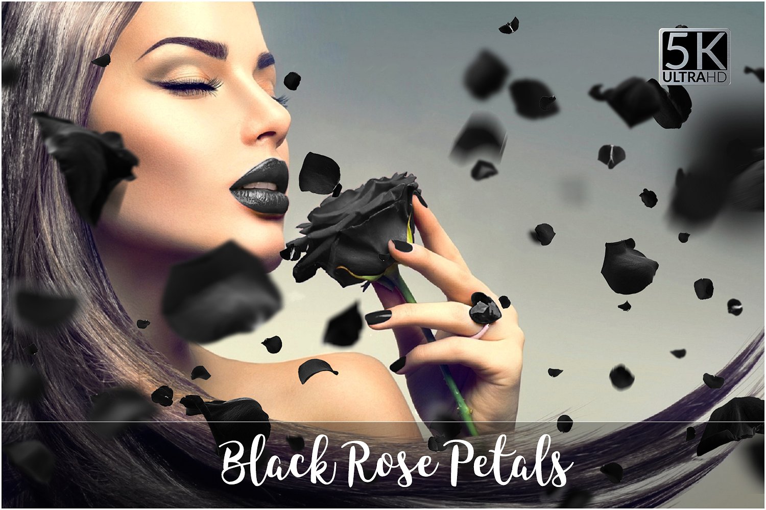 黑色神秘花瓣漂浮设计素材5K Black Rose Peta