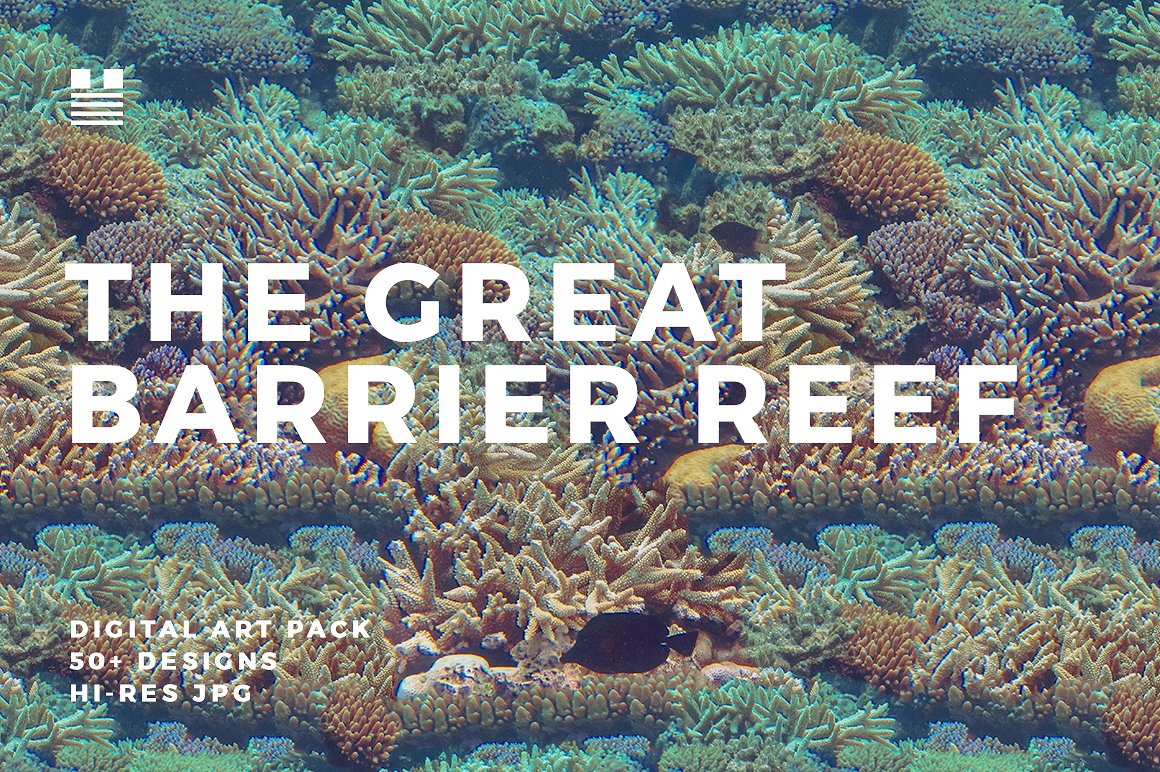 海洋生物珊瑚设计素材The Great Barrier Re
