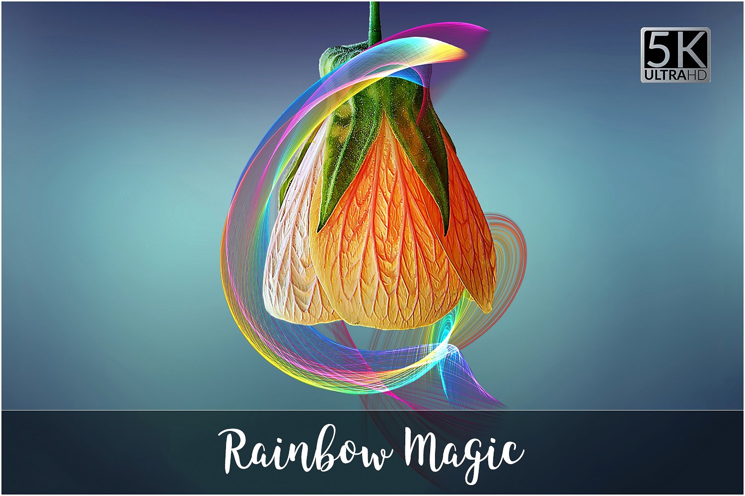 抽象艺术彩虹色调笔刷线条设计素材5K Rainbow Mag