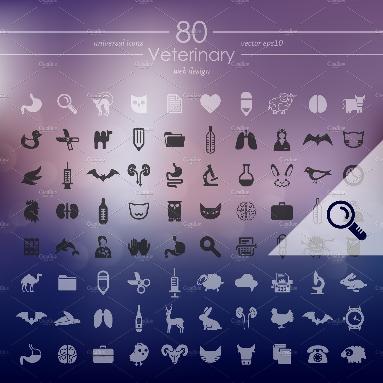 80 VETERINARY icons