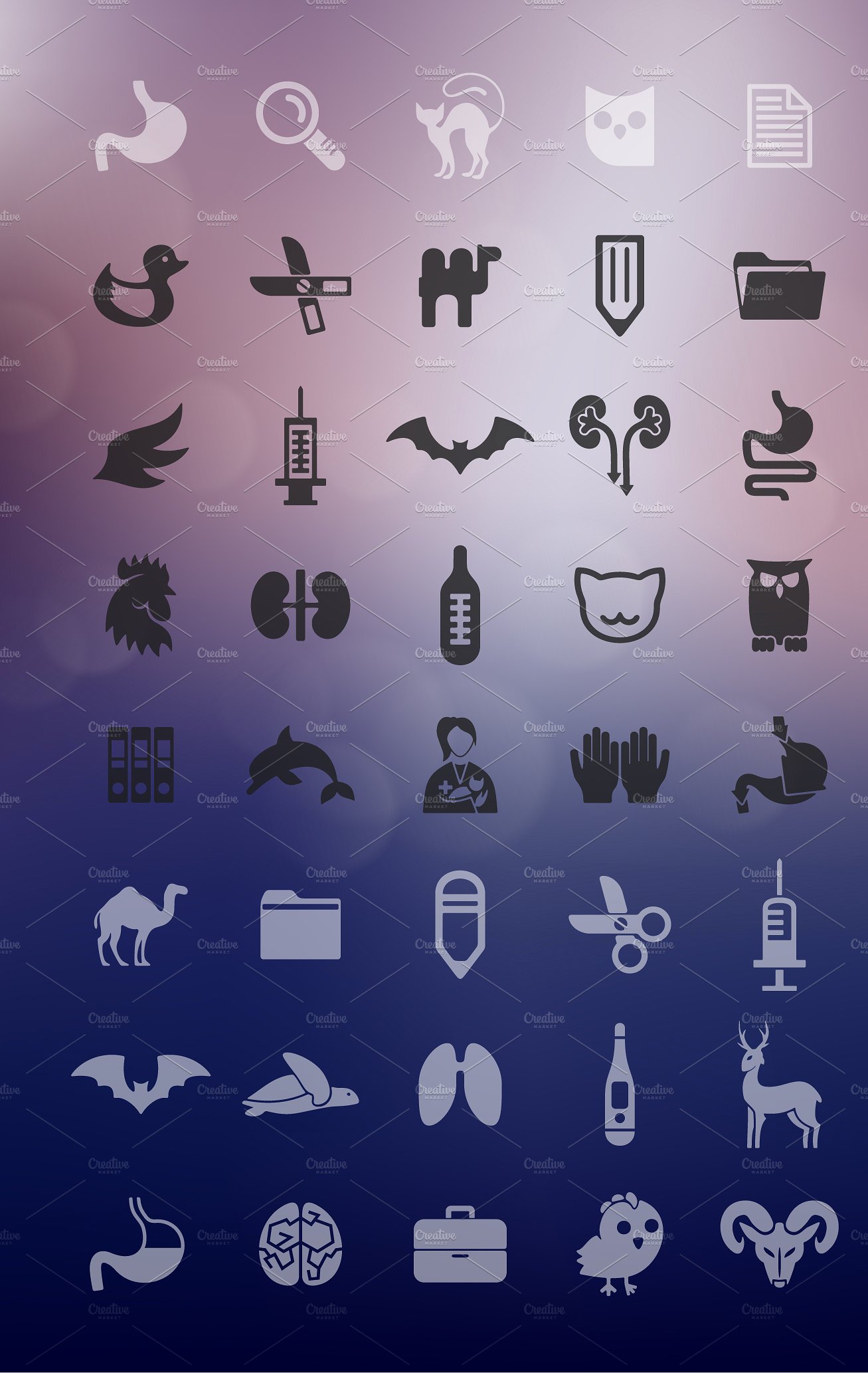 80 VETERINARY icons