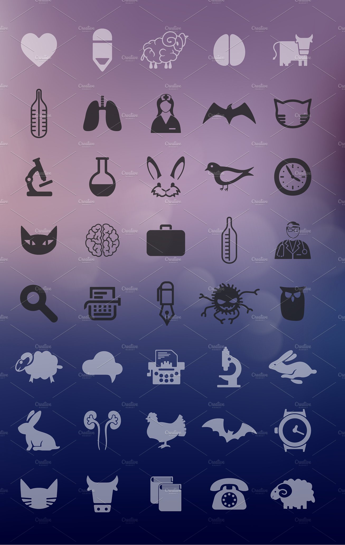 80 VETERINARY icons