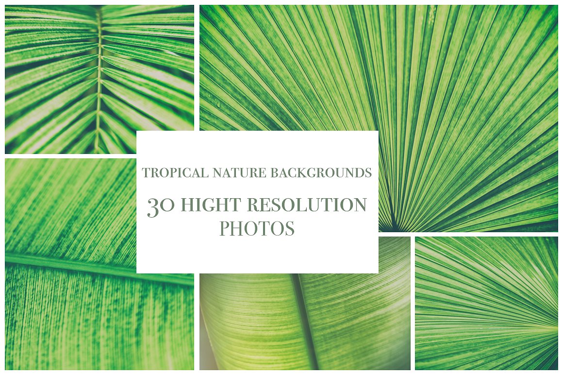 30 tropical background photo b