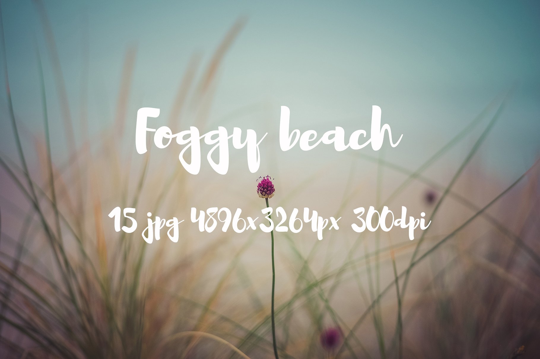 Foggy beach photo pack