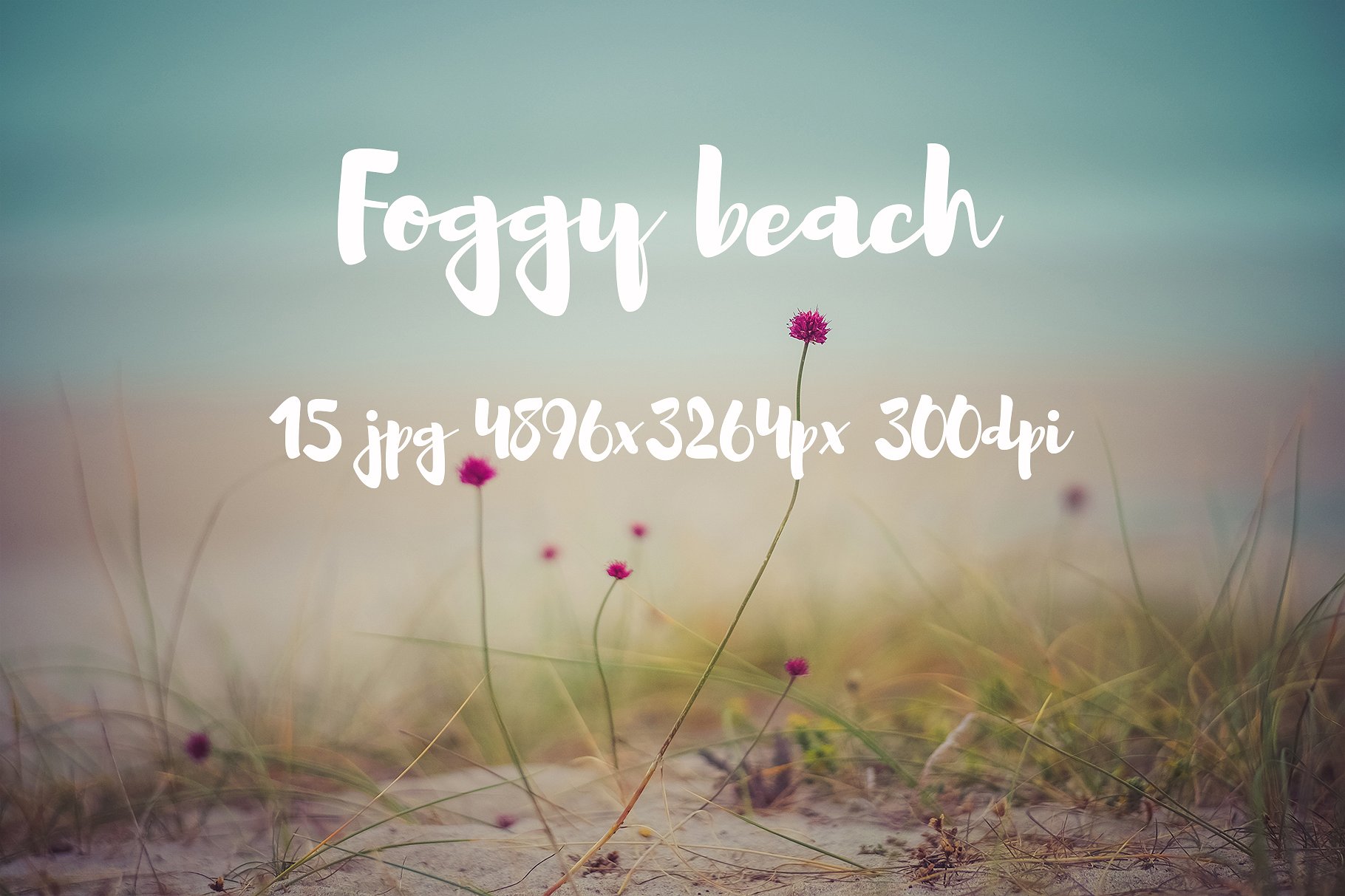 Foggy beach photo pack