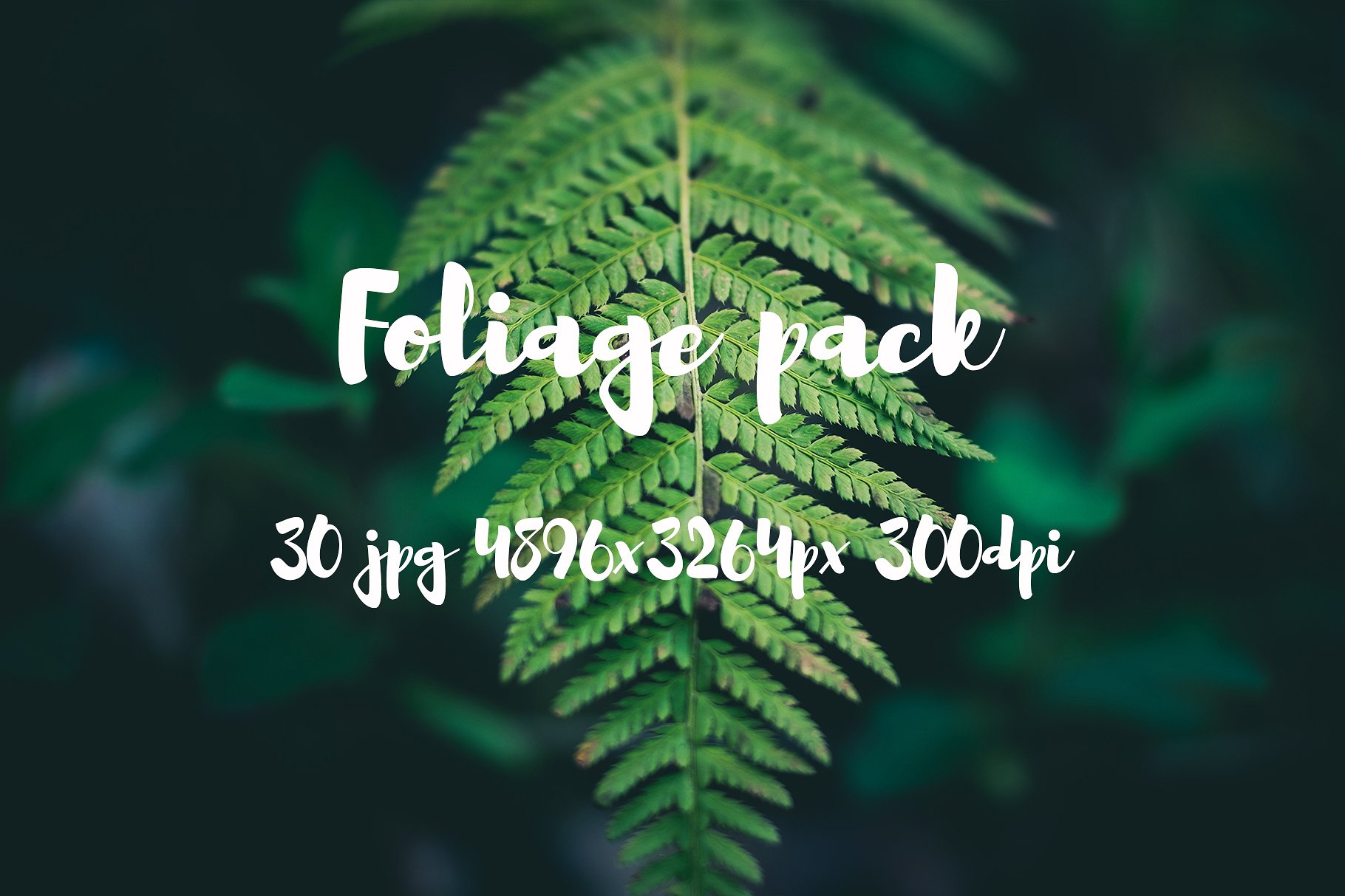 Foliage Photo Pack