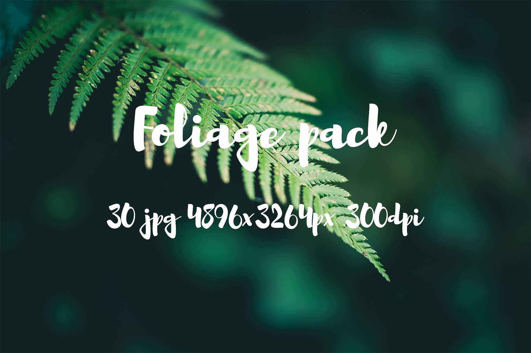 Foliage Photo Pack