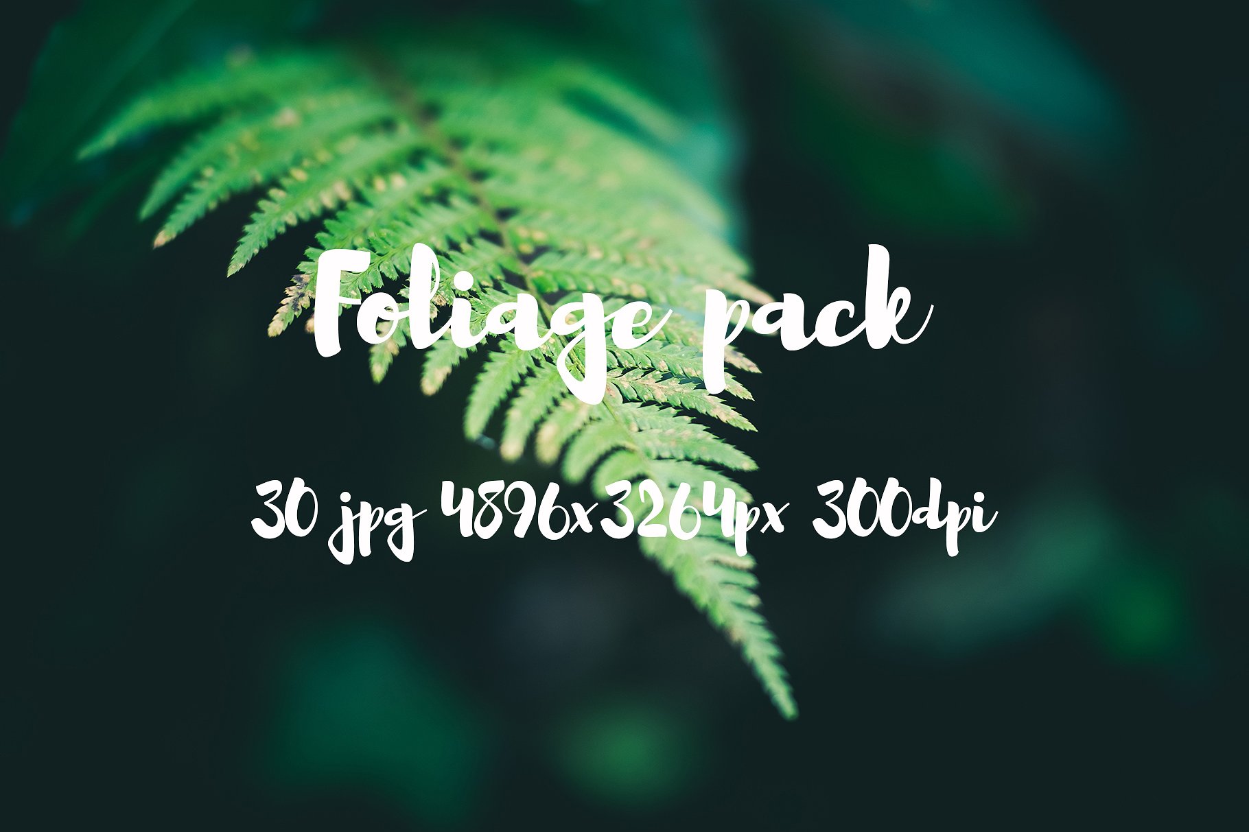 Foliage Photo Pack