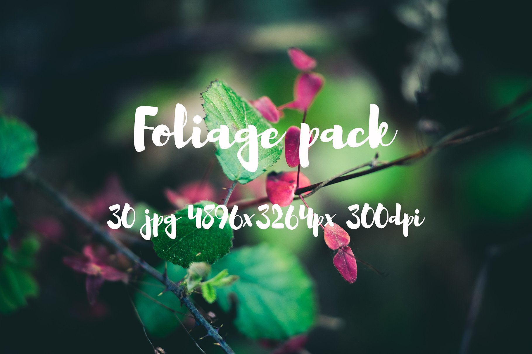 Foliage Photo Pack