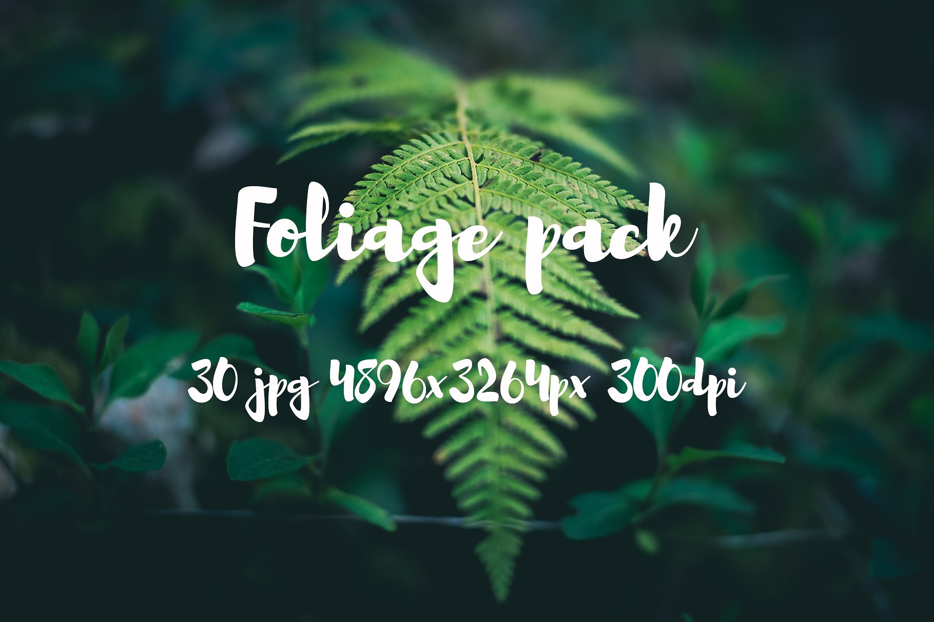 Foliage Photo Pack