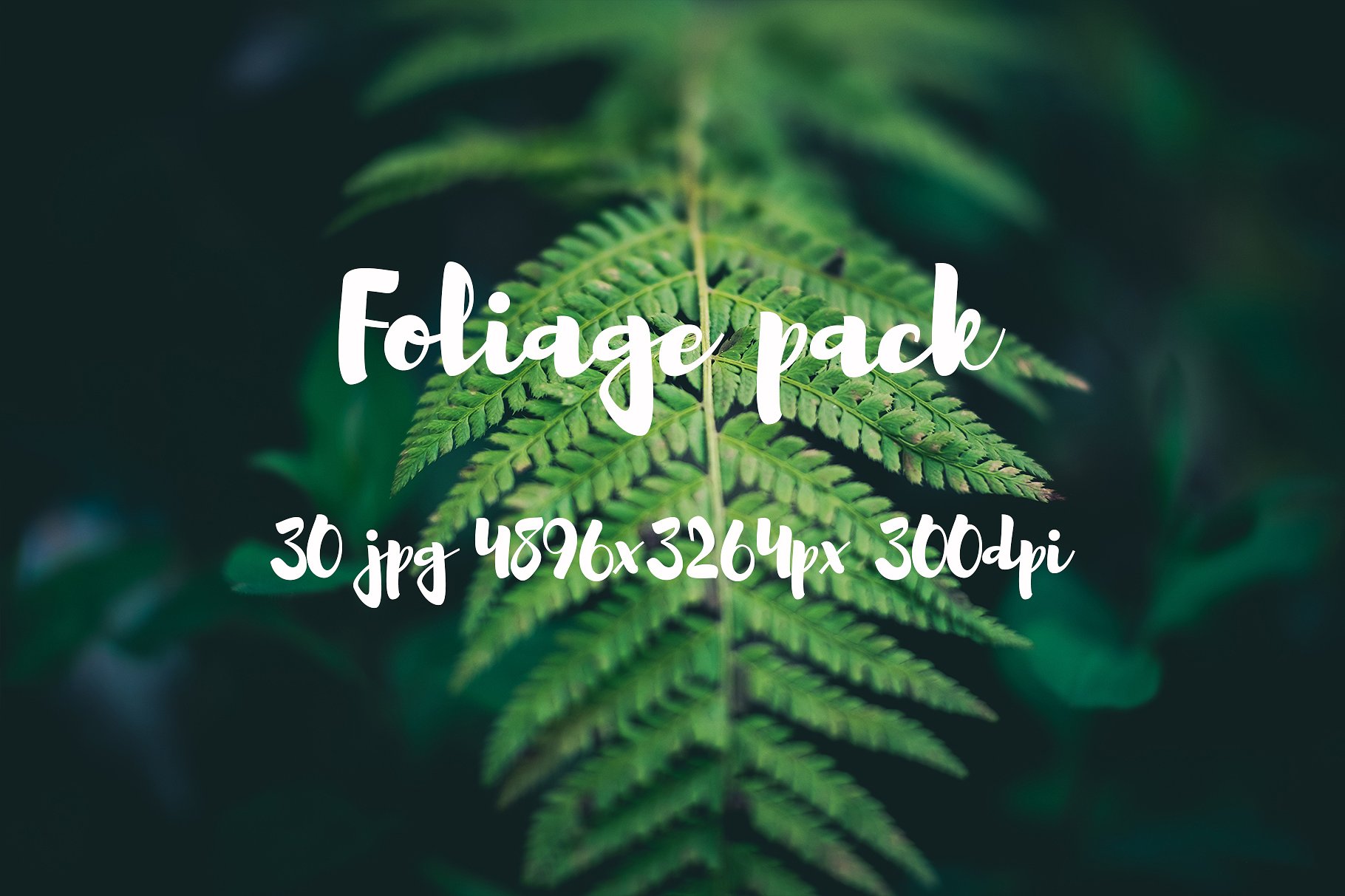 Foliage Photo Pack