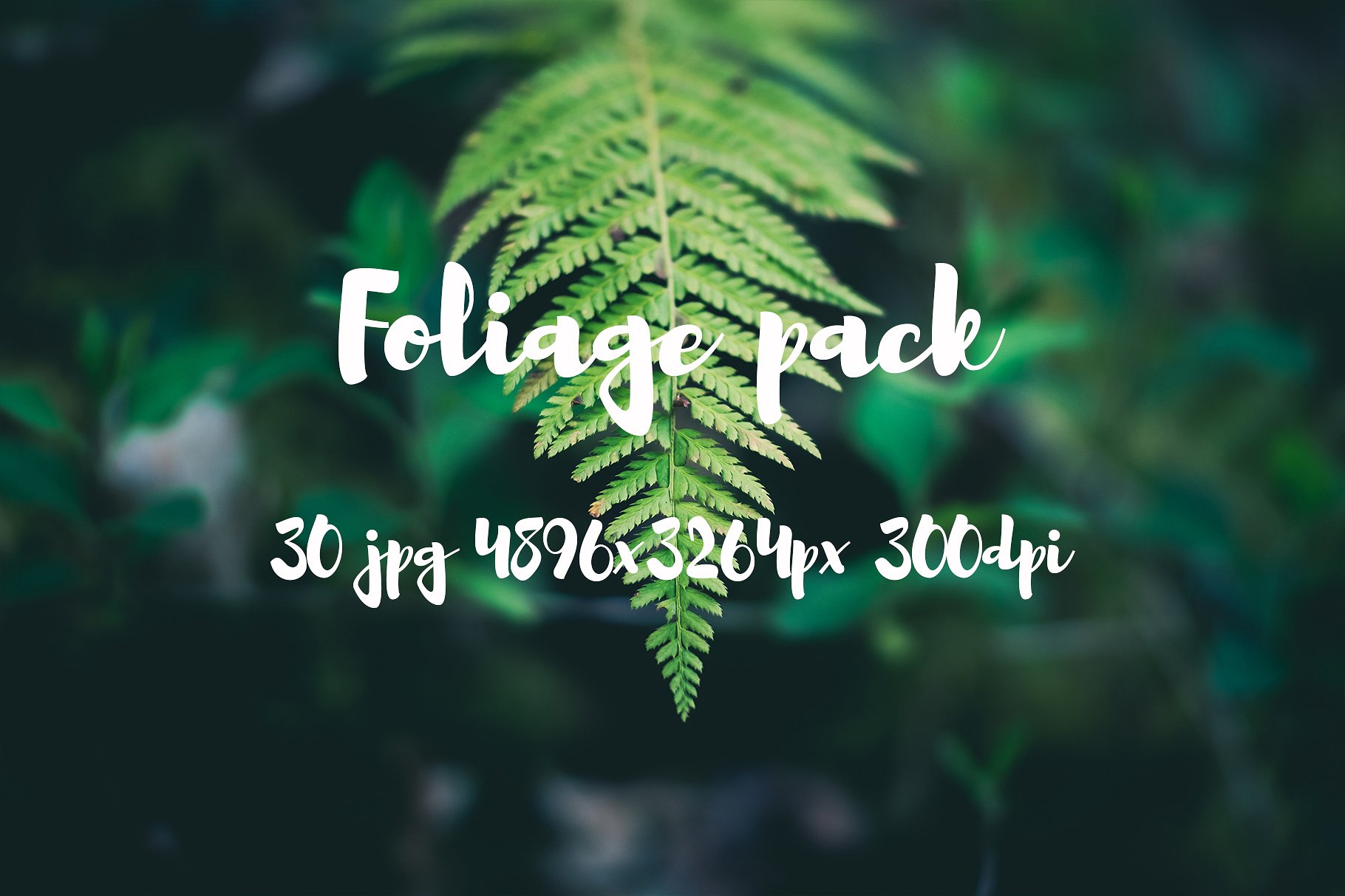 Foliage Photo Pack