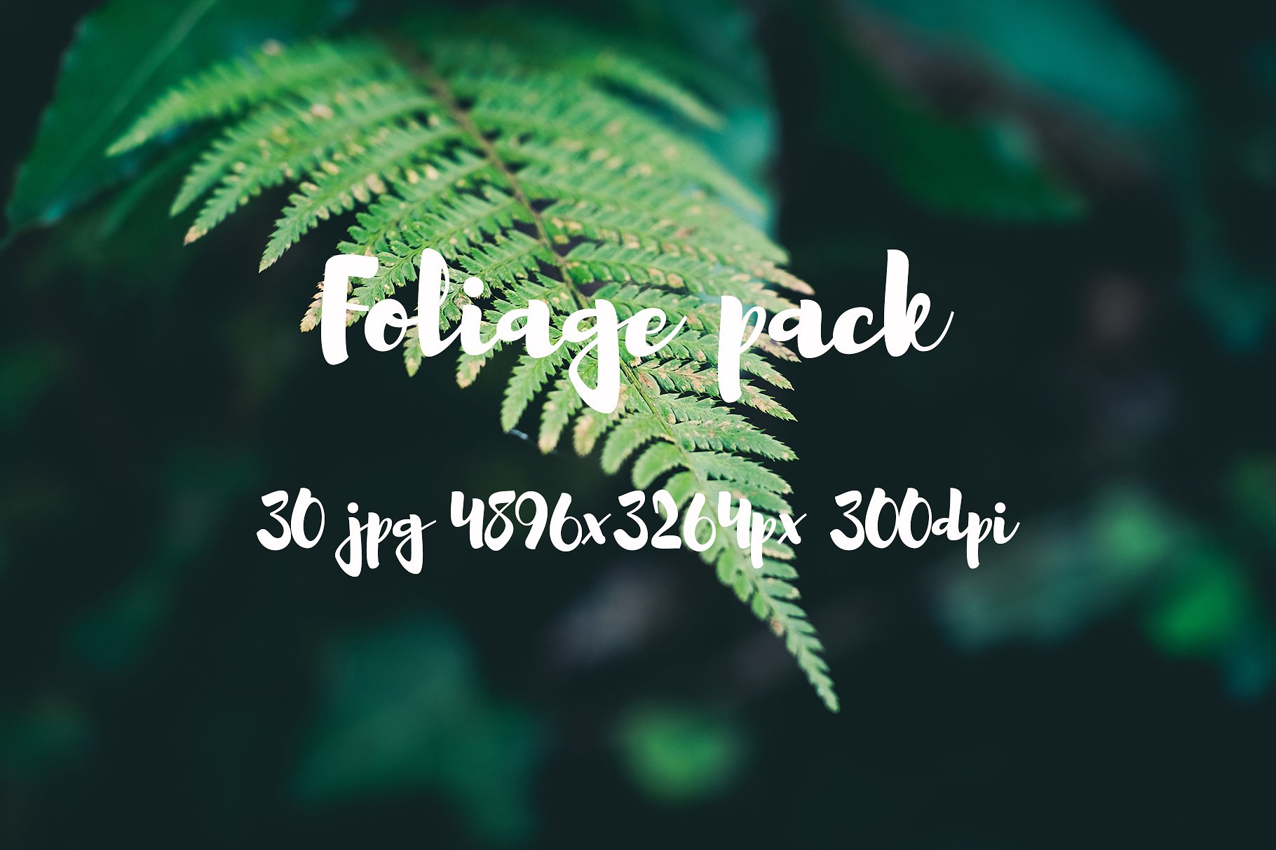 Foliage Photo Pack