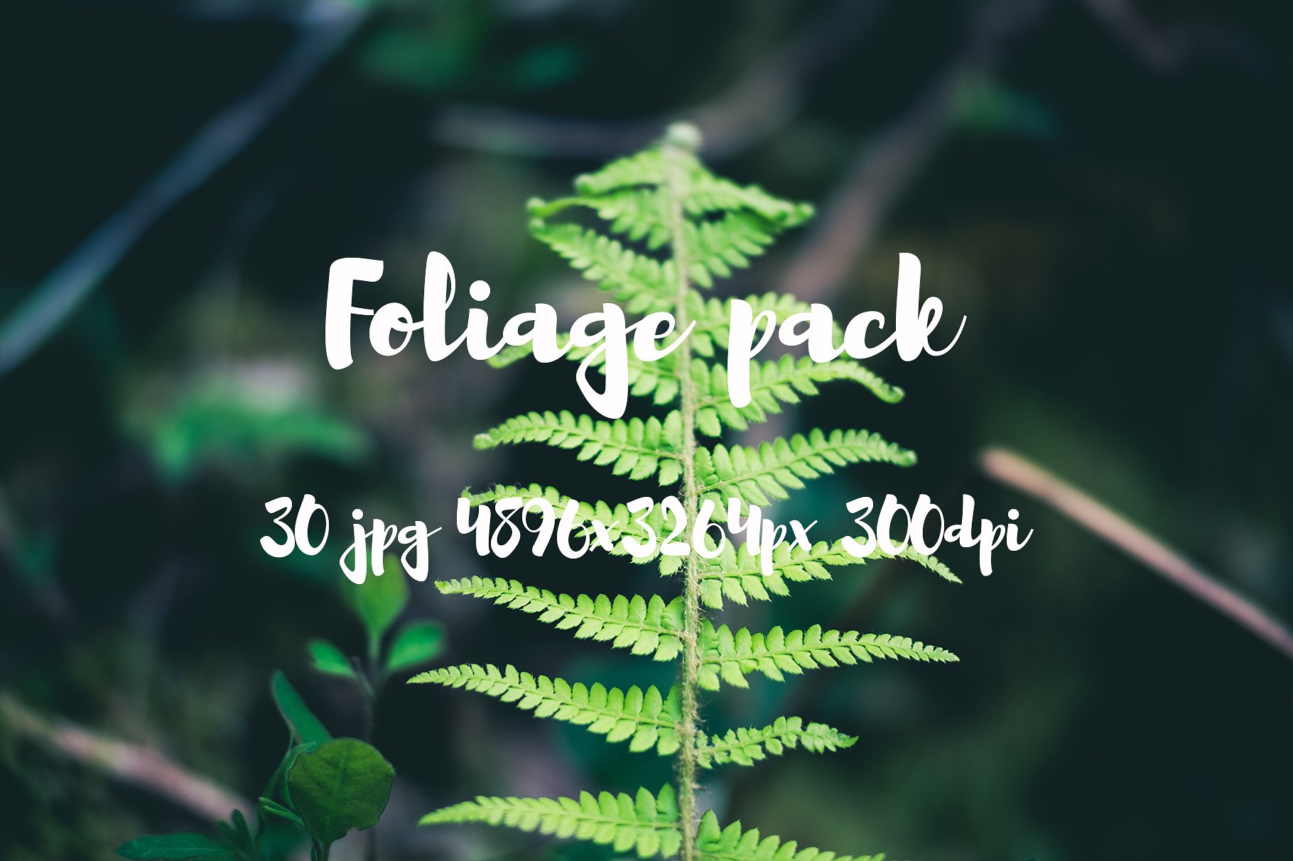 Foliage Photo Pack