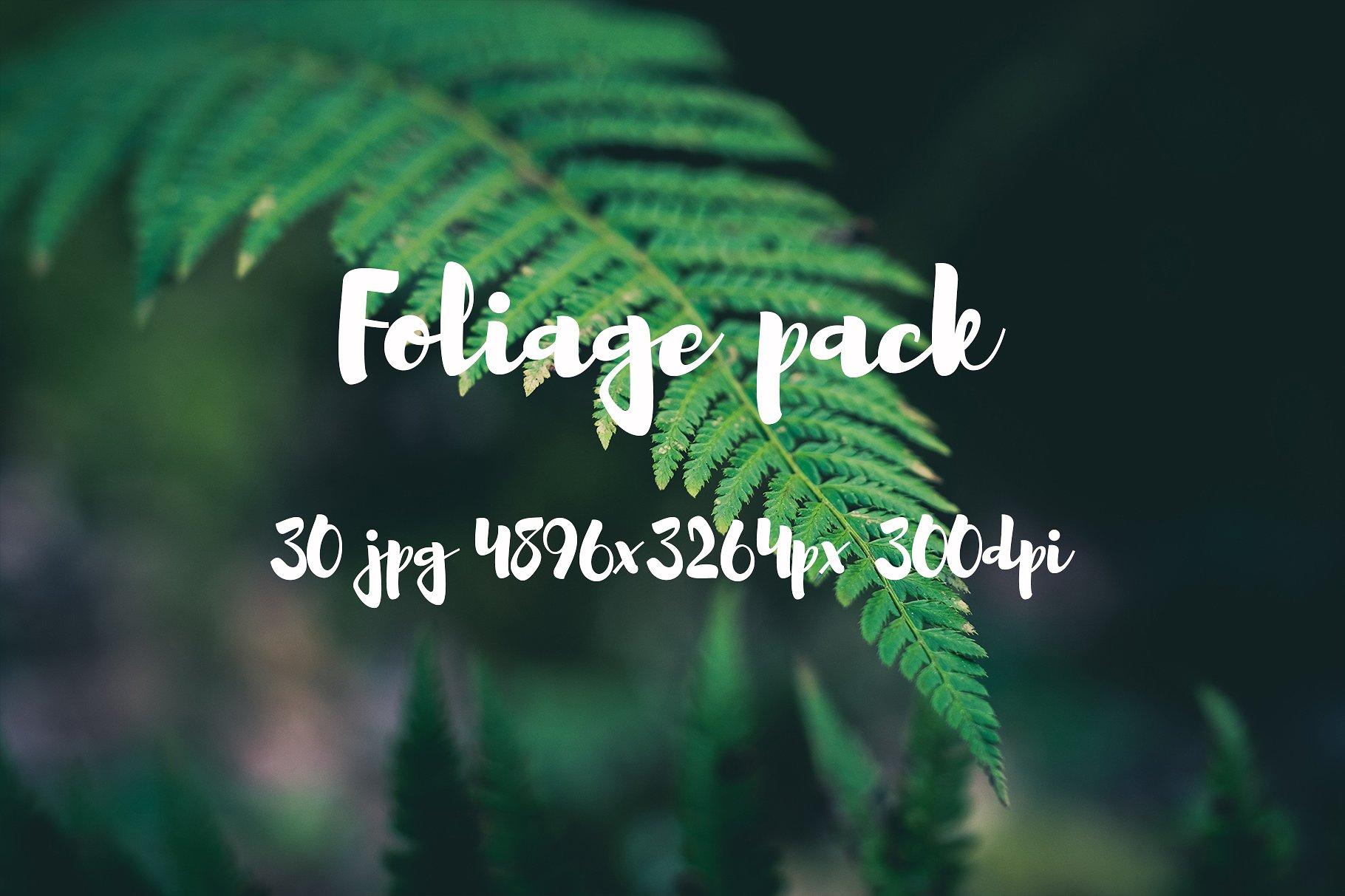 Foliage Photo Pack