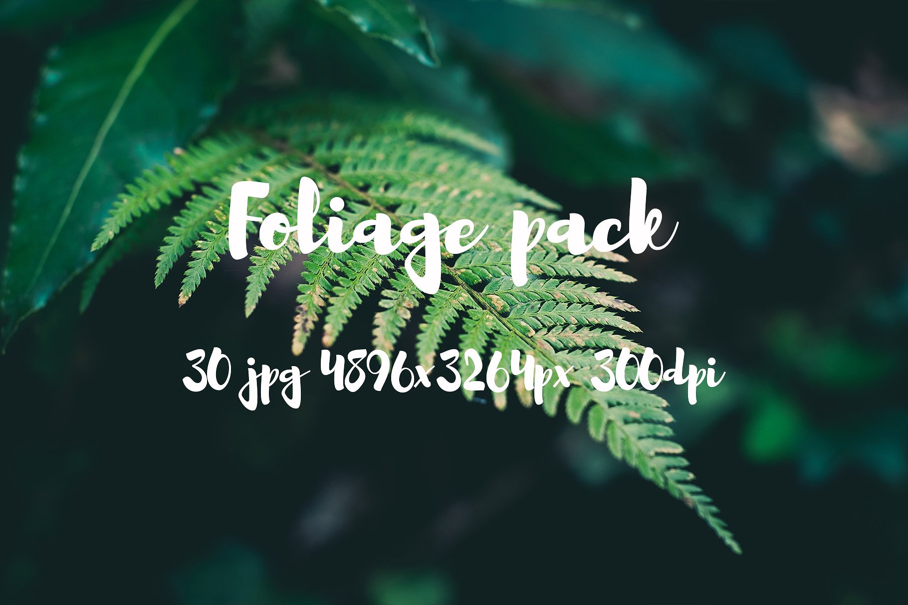 Foliage Photo Pack