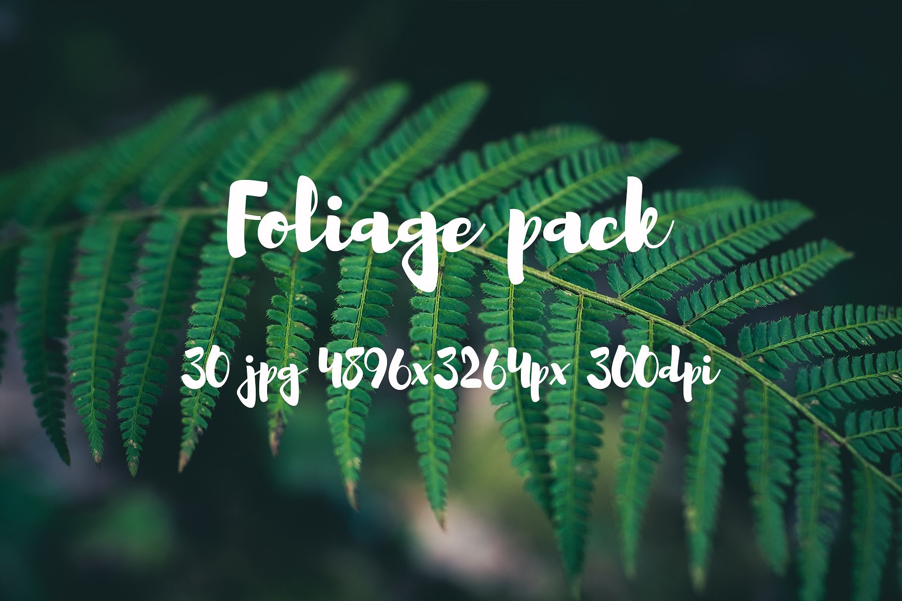 Foliage Photo Pack