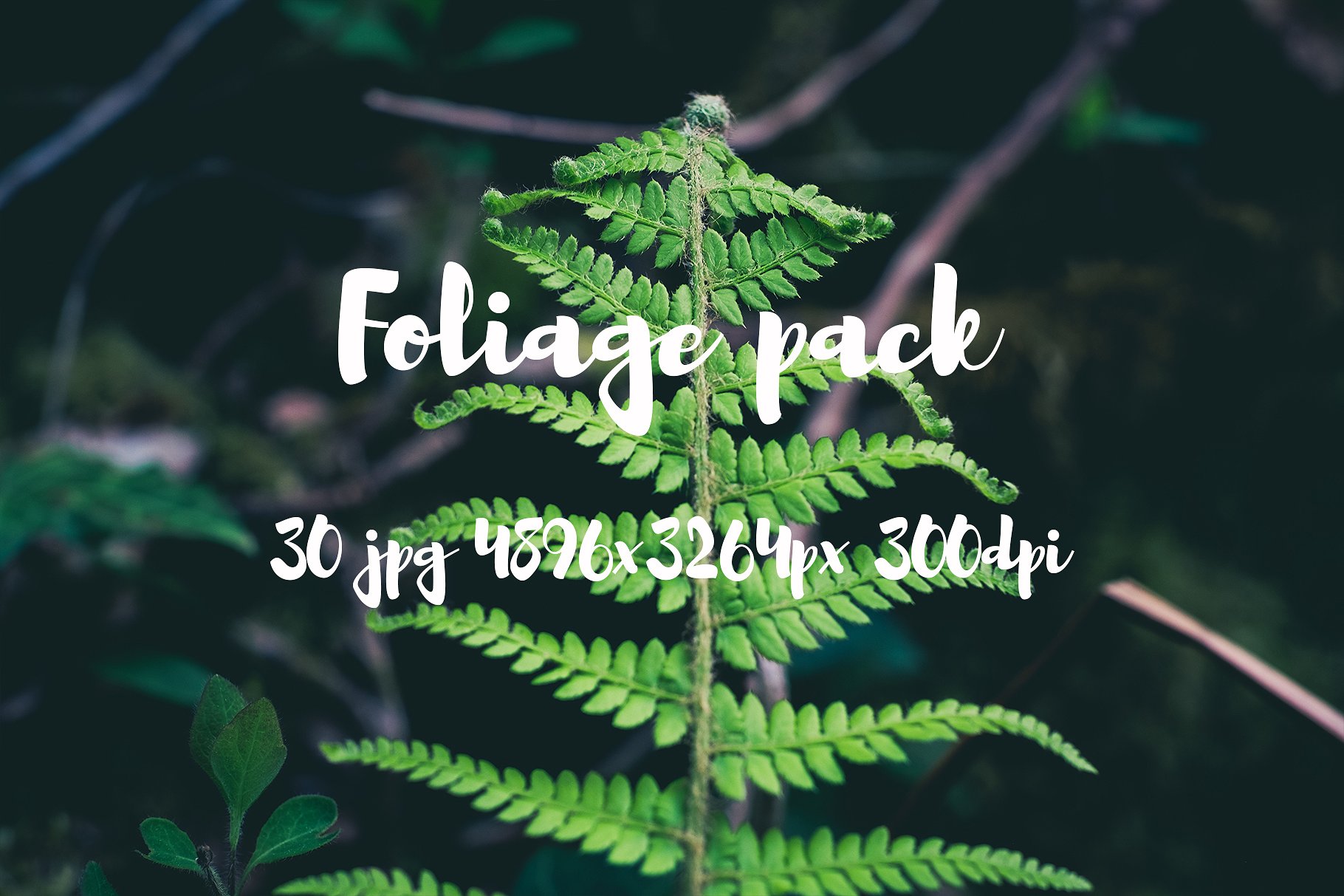 Foliage Photo Pack