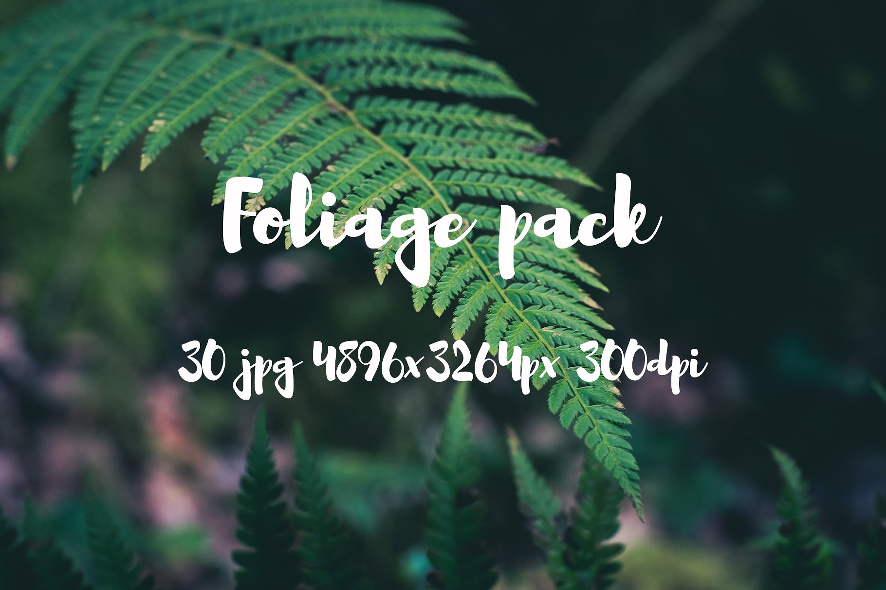 Foliage Photo Pack