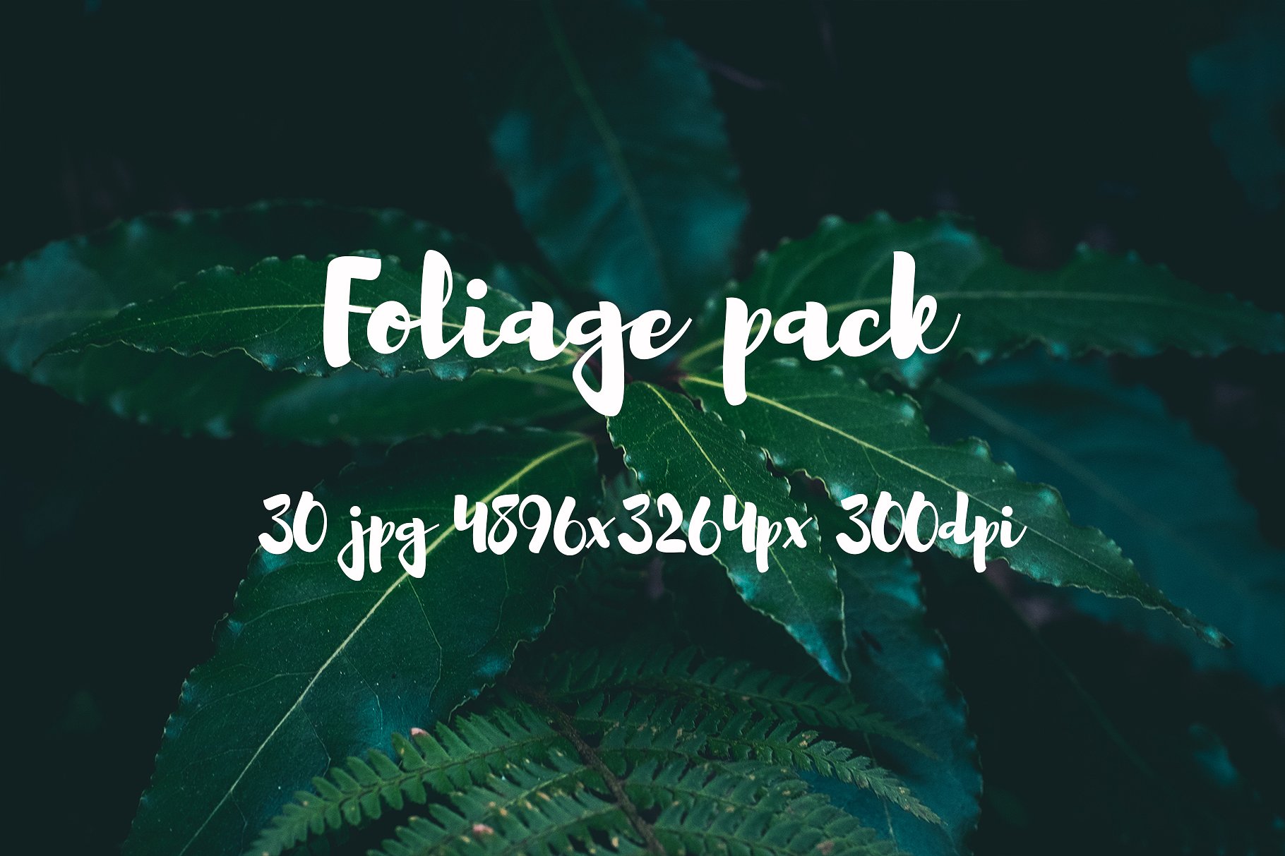 Foliage Photo Pack