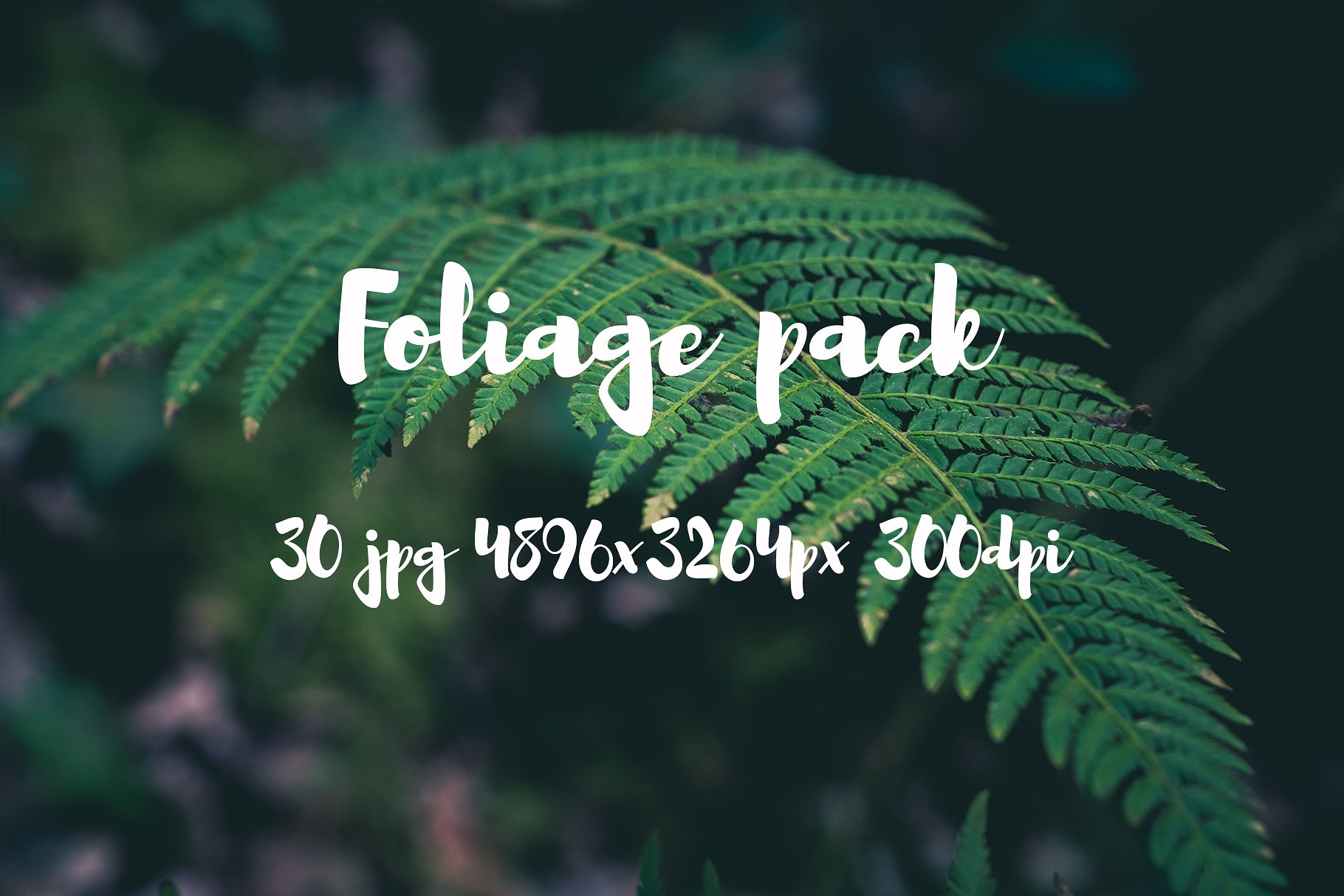 Foliage Photo Pack