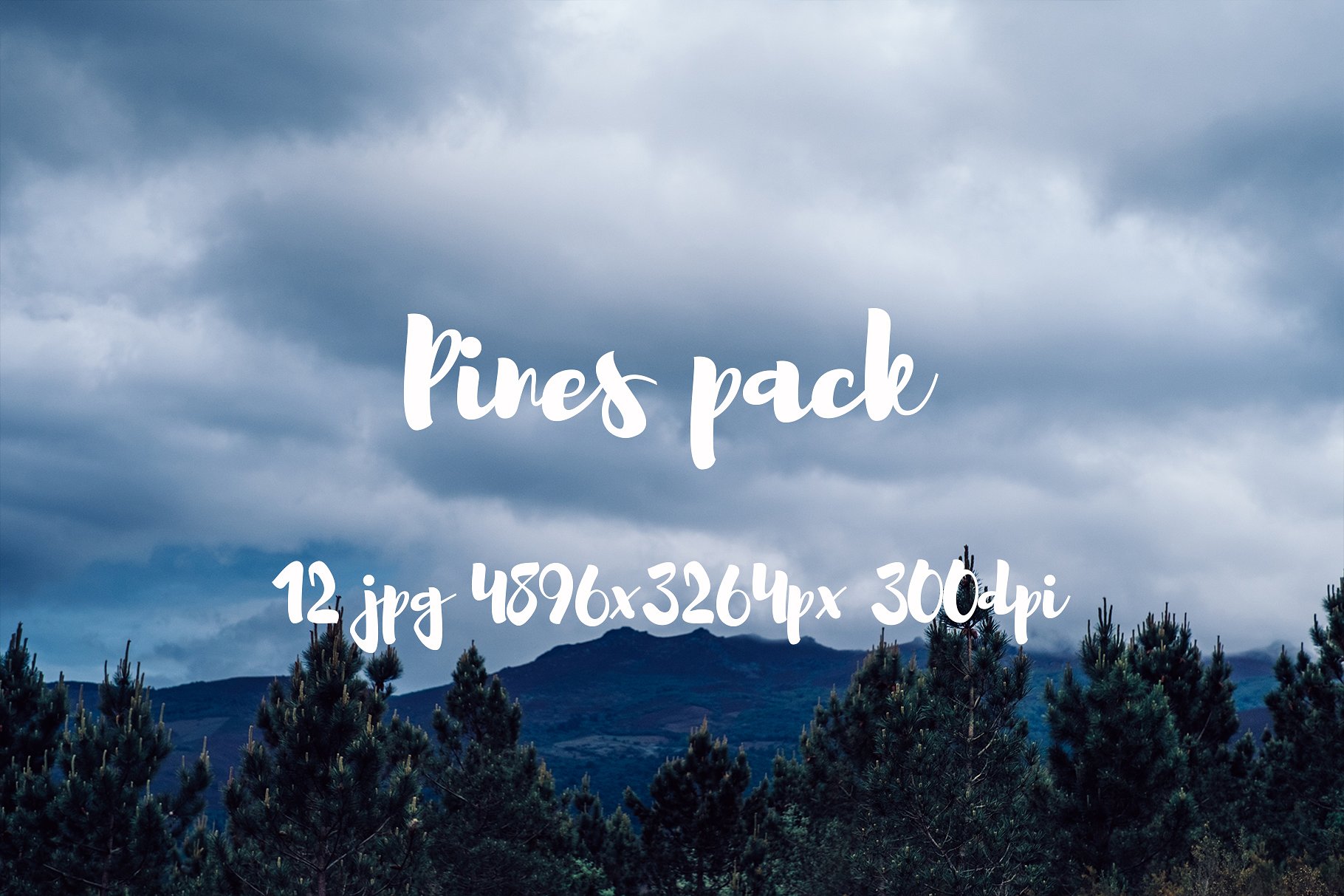 Pines photo pack