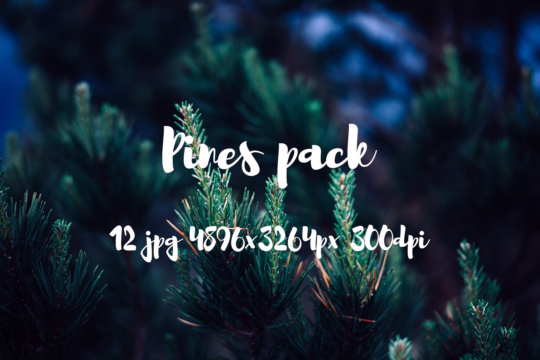 Pines photo pack