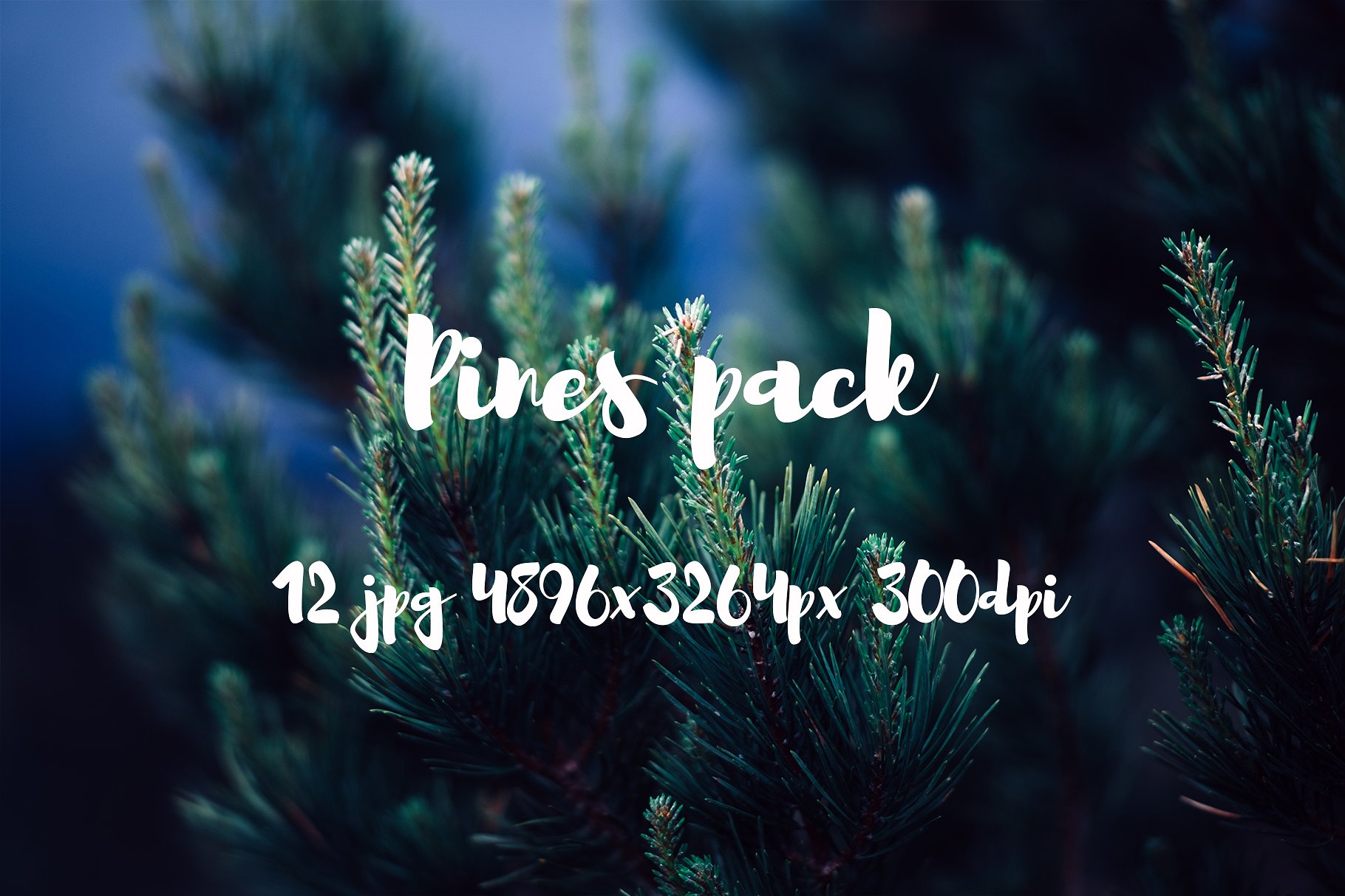 Pines photo pack