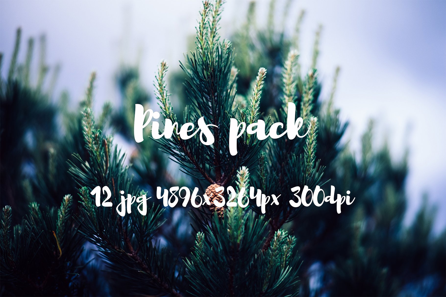 Pines photo pack