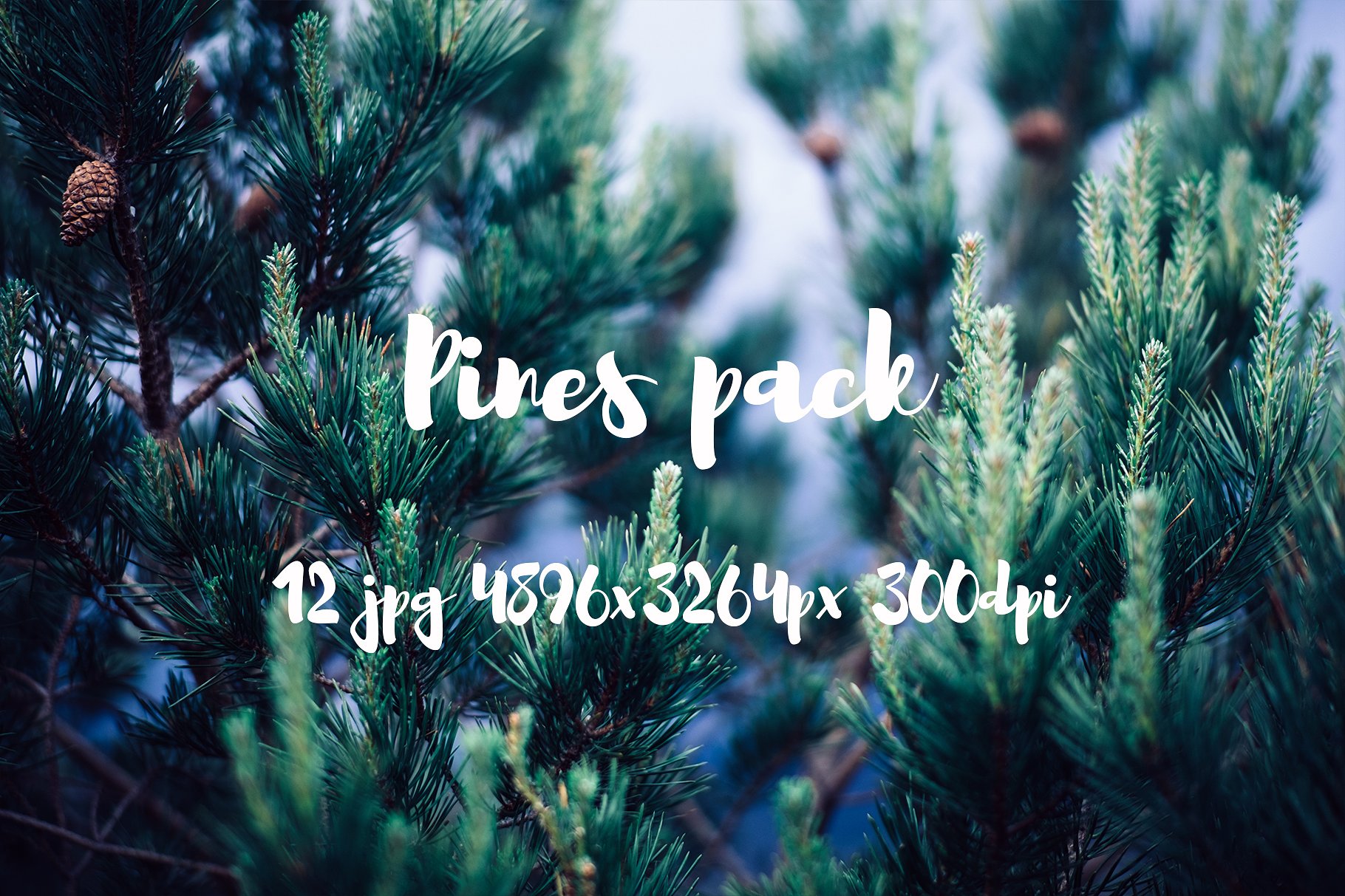 Pines photo pack