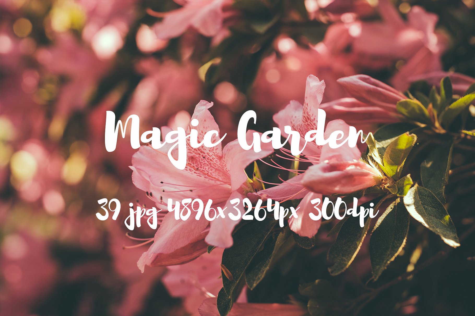 Magic Garden photo pack