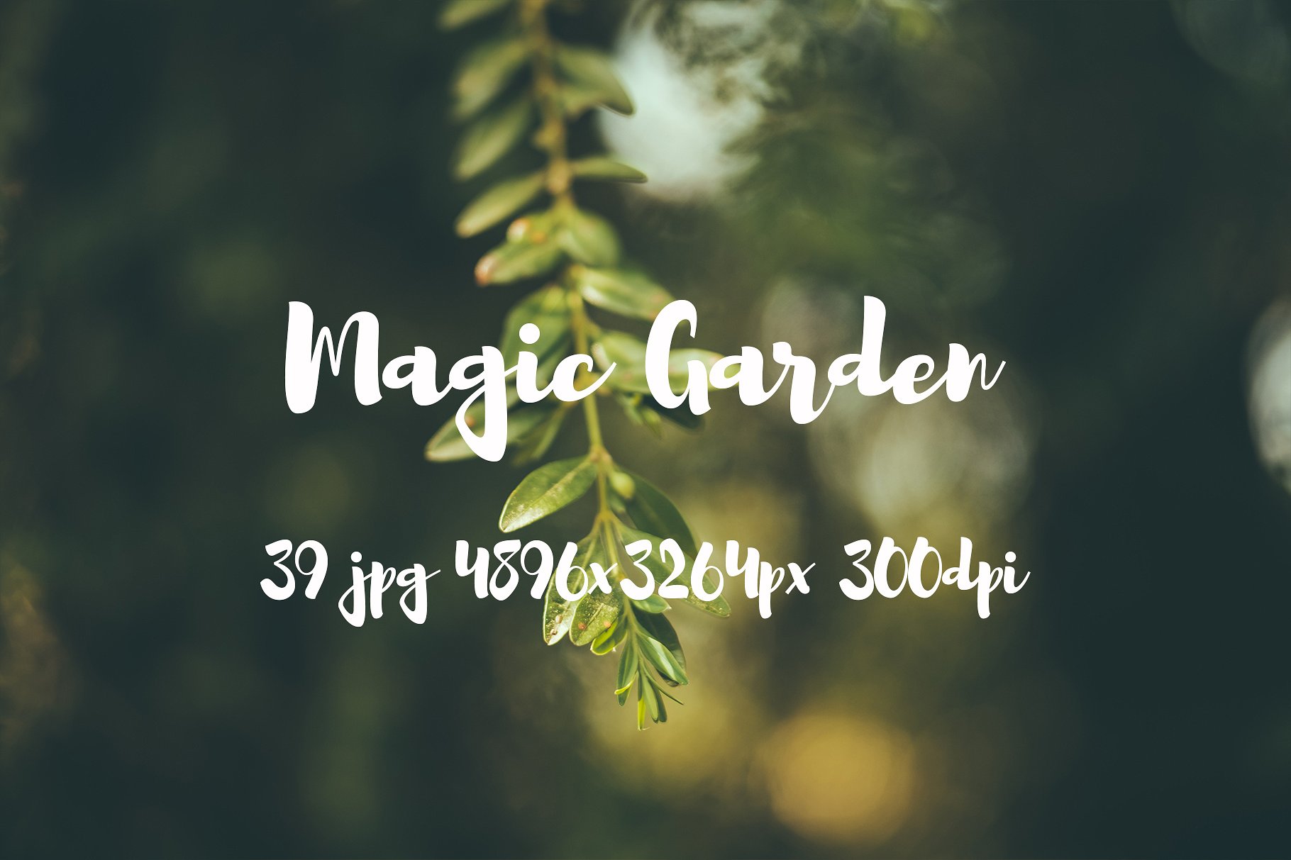 Magic Garden photo pack