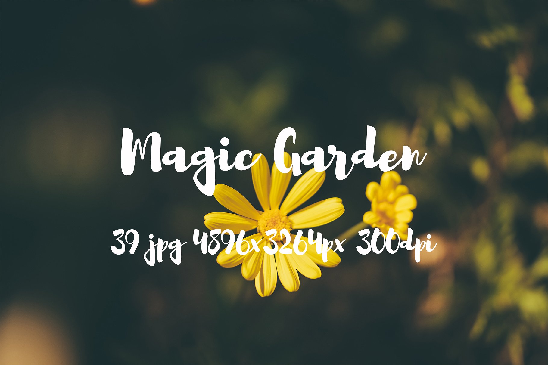 Magic Garden photo pack