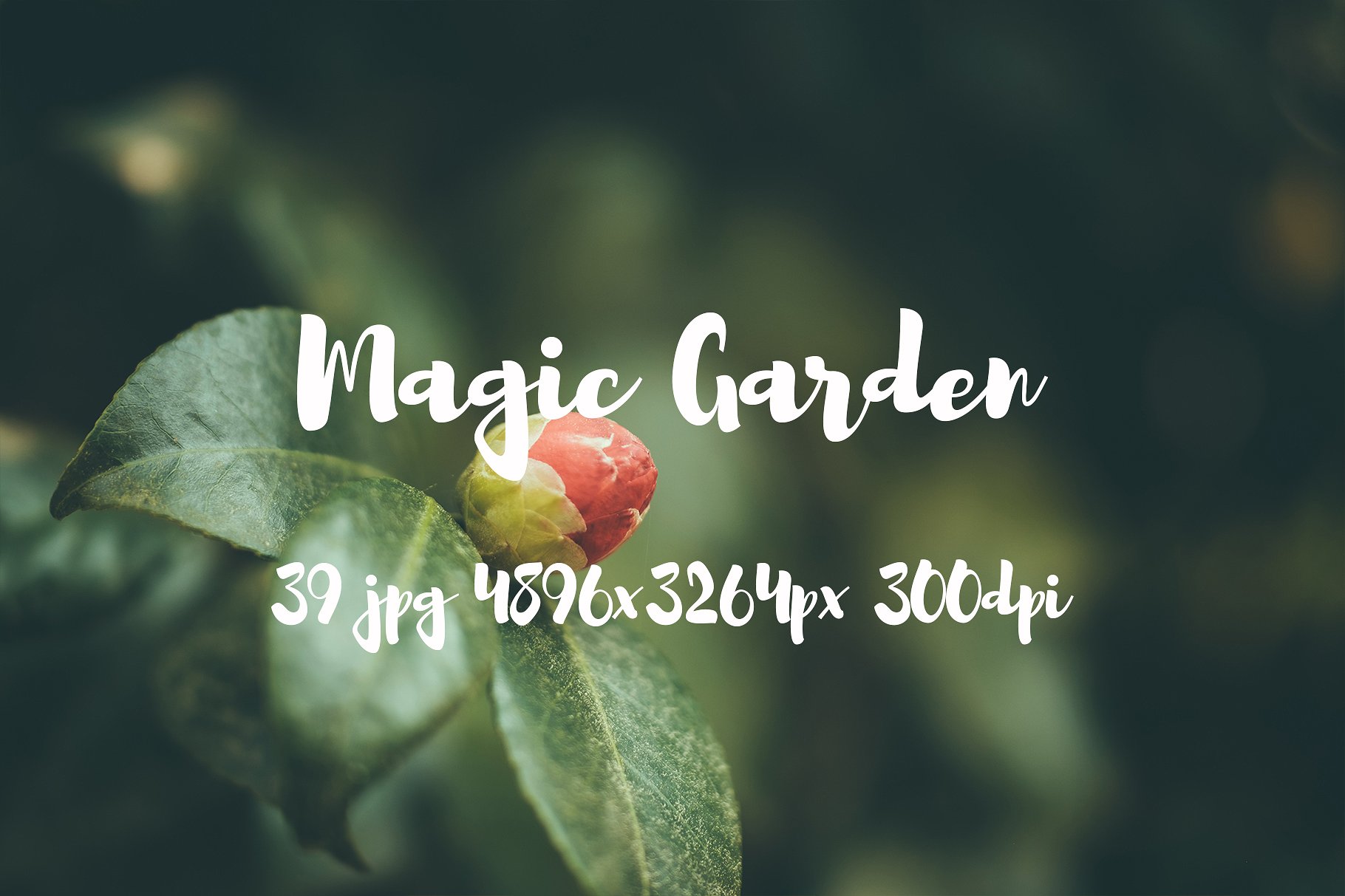 Magic Garden photo pack