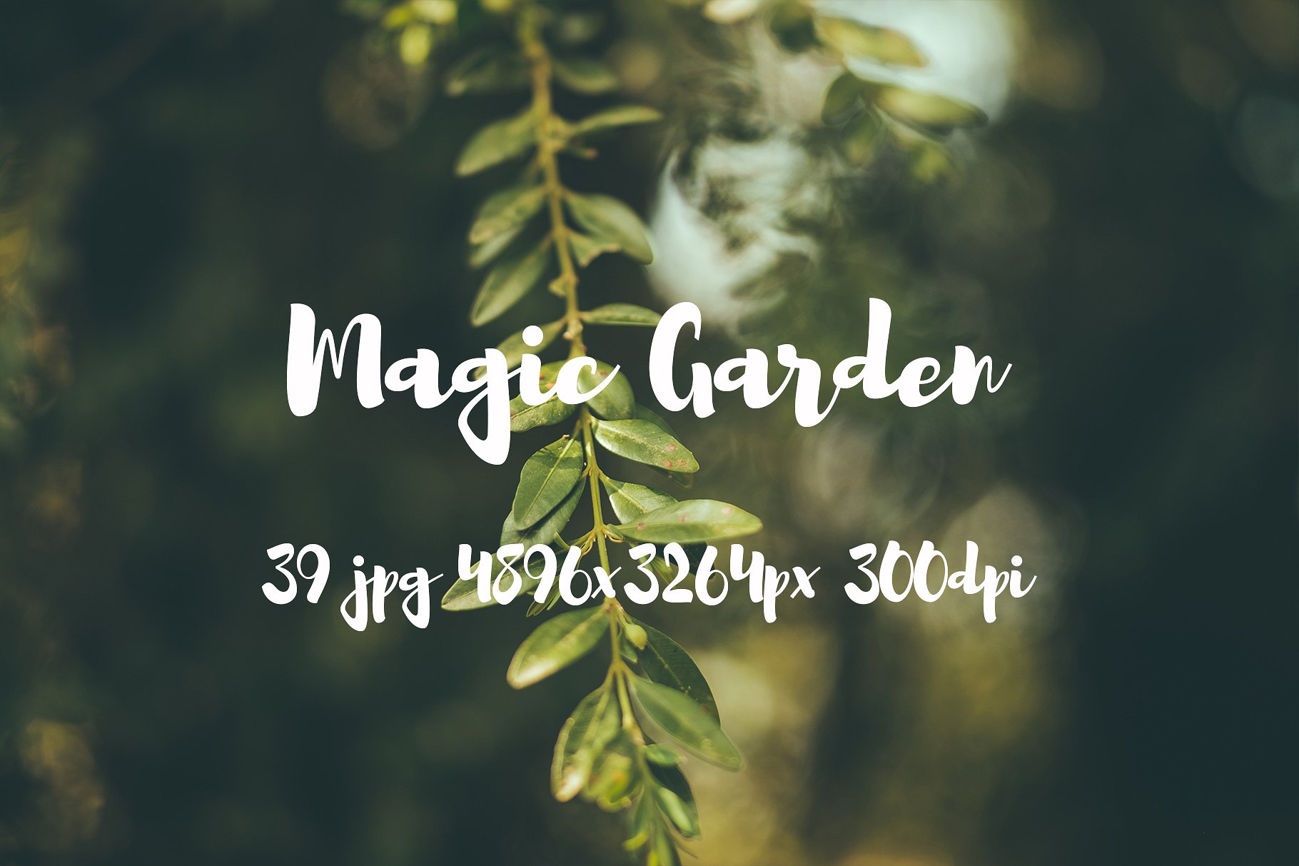 Magic Garden photo pack